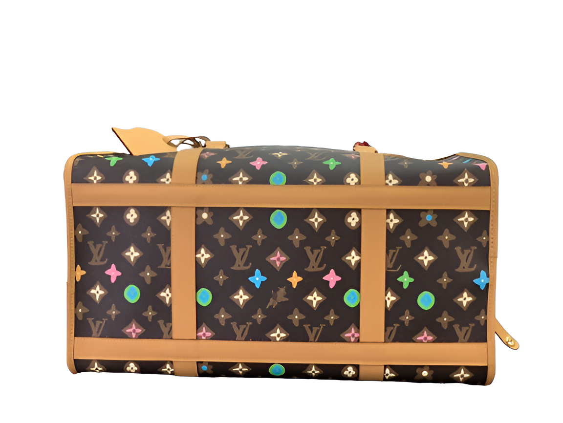 Louis Vuitton Pet Carrier