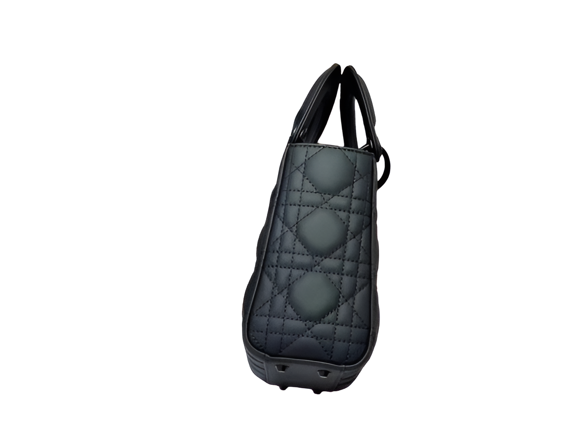 Dior Lady Dior Bag