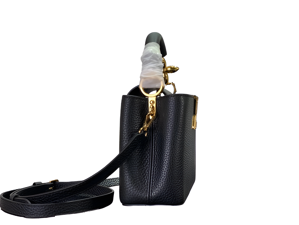 Louis Vuitton Capucines Mini