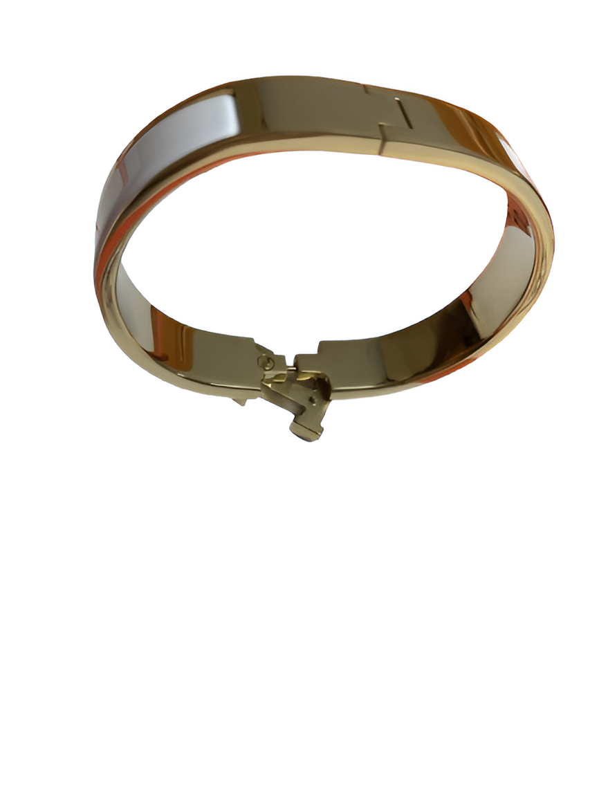 HERMES Slim Enamel Bangle Bracelet