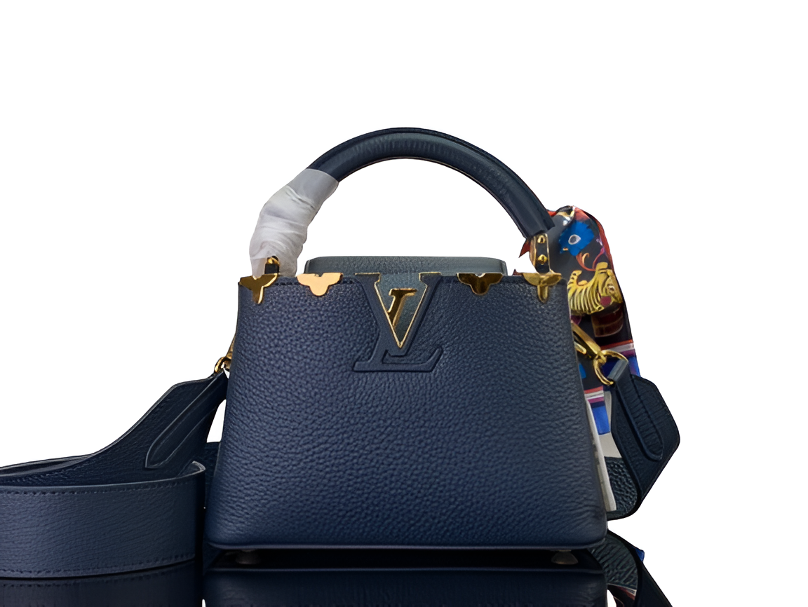 Louis Vuitton Capucines MM handbag