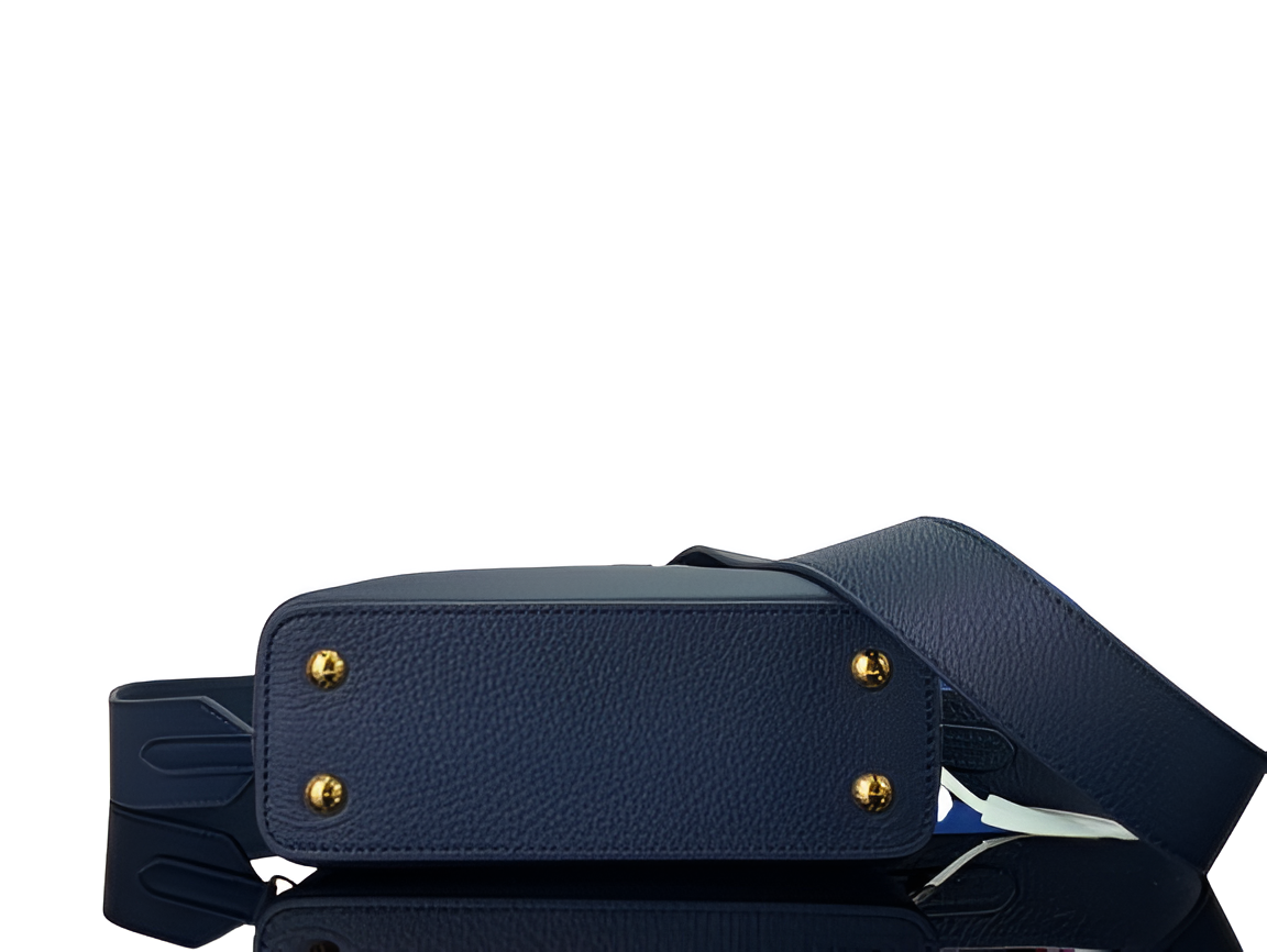 Louis Vuitton Capucines MM handbag