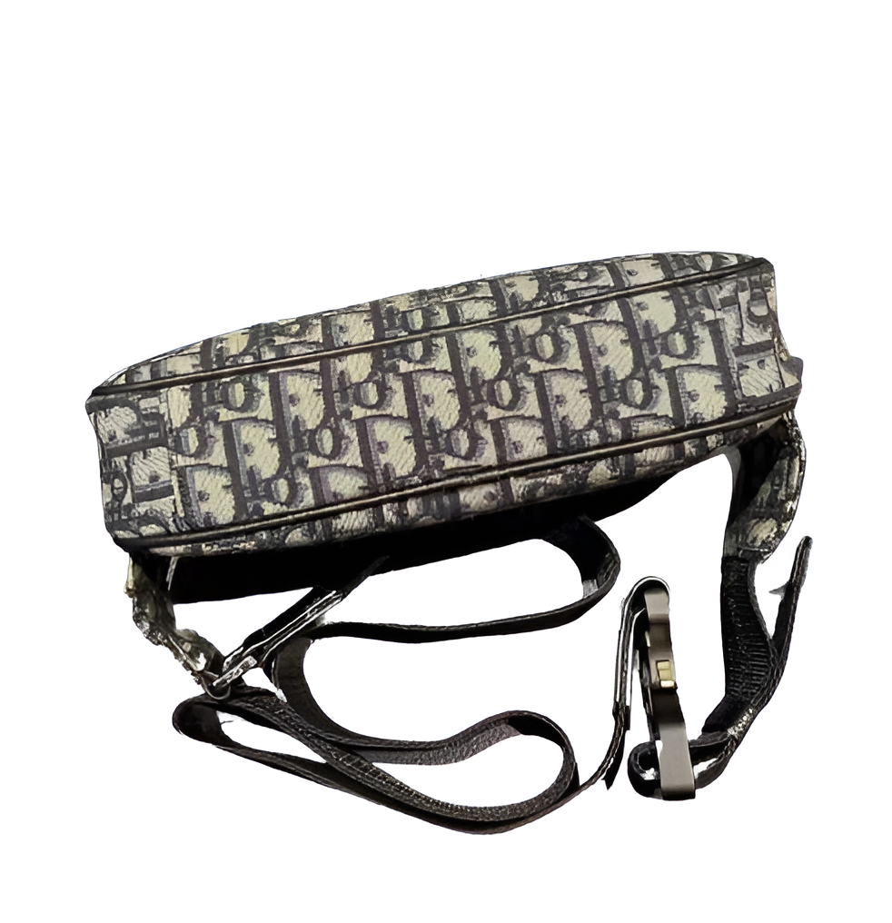 Dior Oblique Canvas Waist Bag