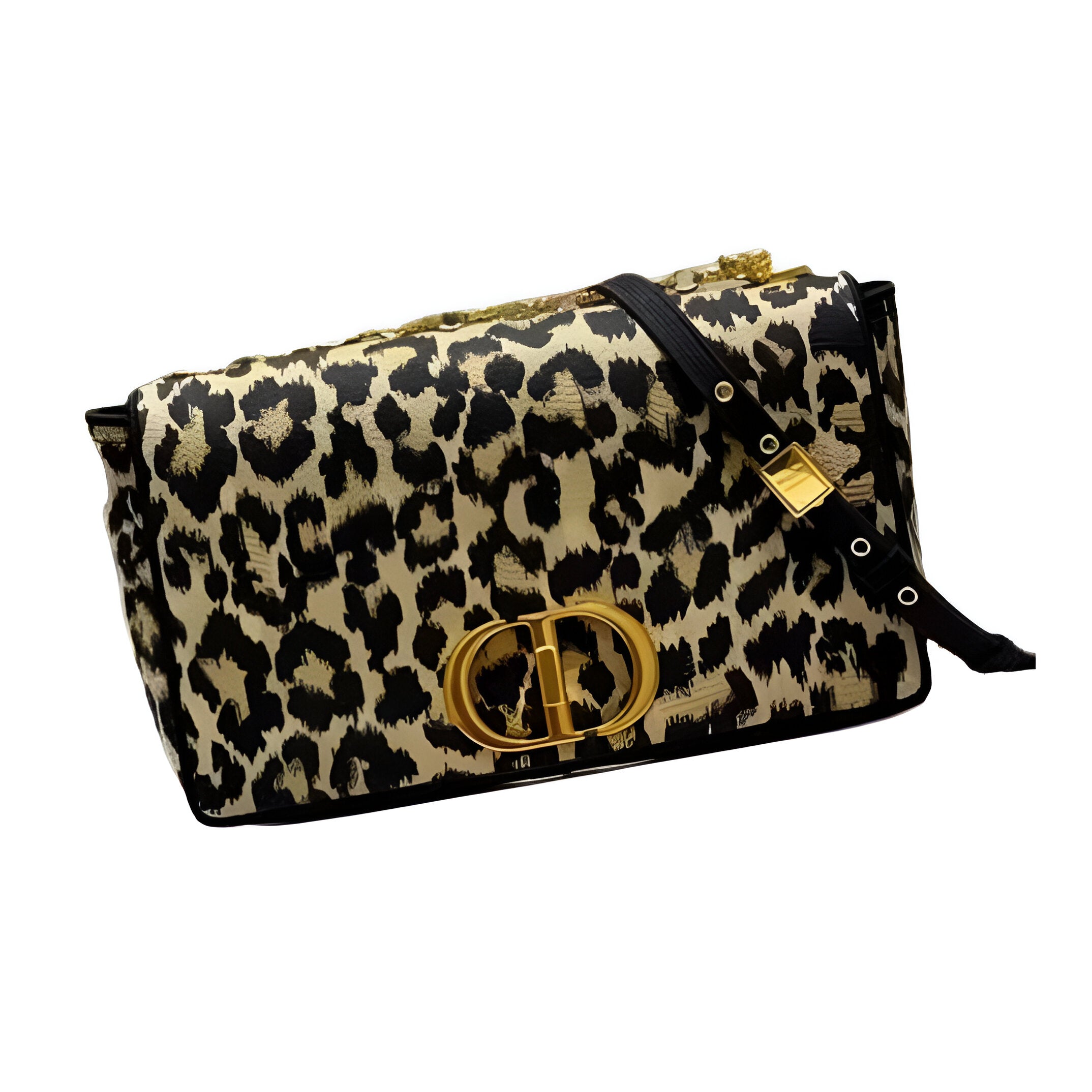 Dior Leopard Print Bag