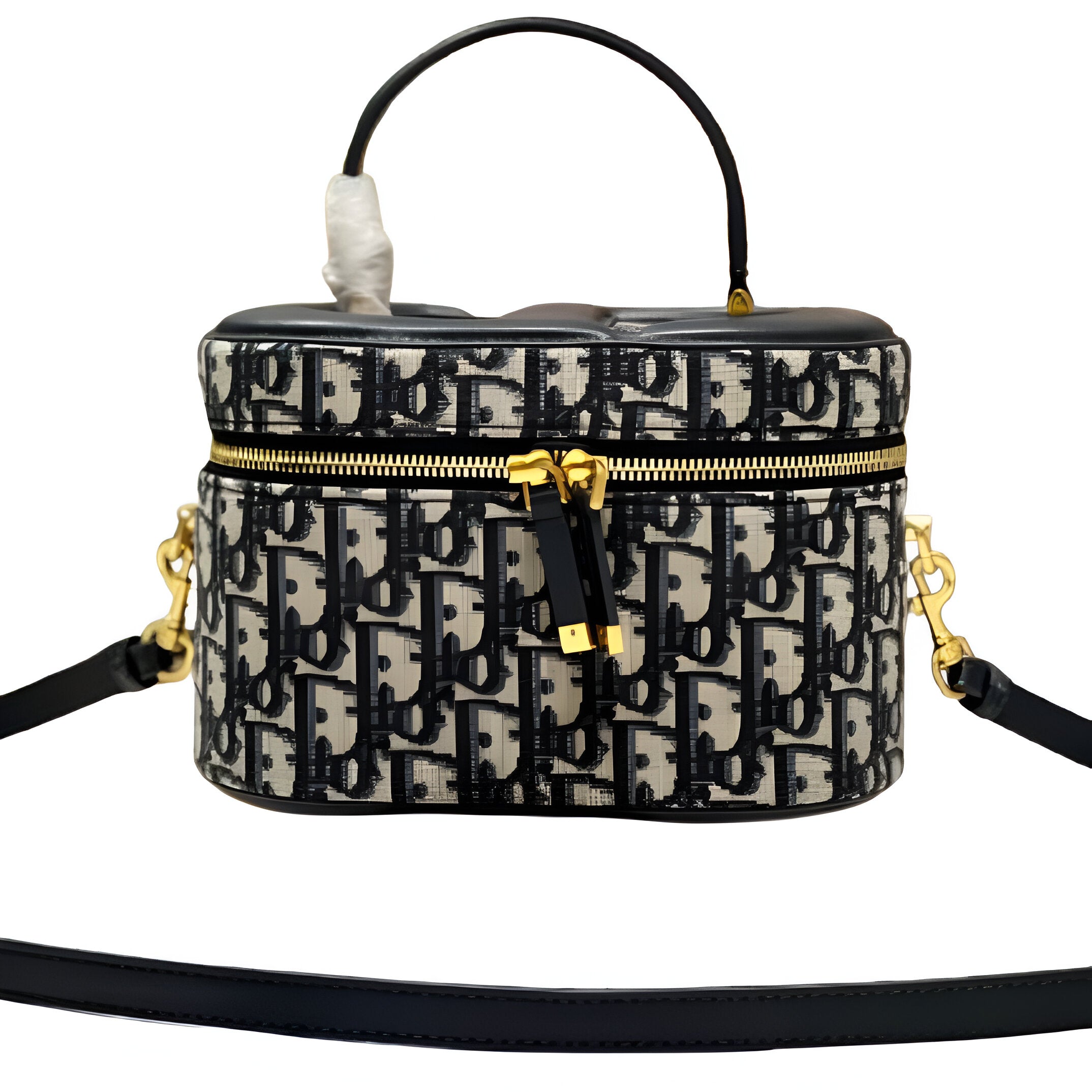 Dior Oblique Vanity Case Bag
