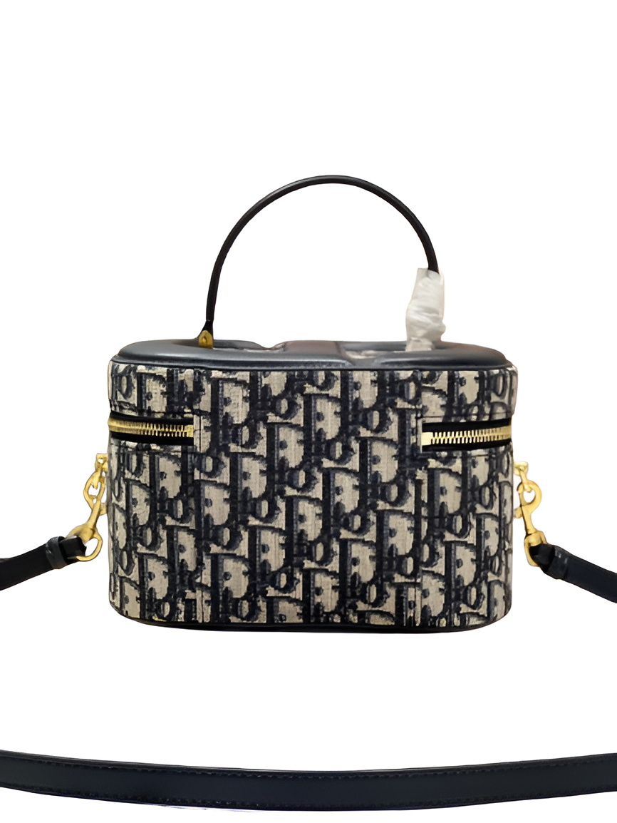 Dior Oblique Vanity Case Bag