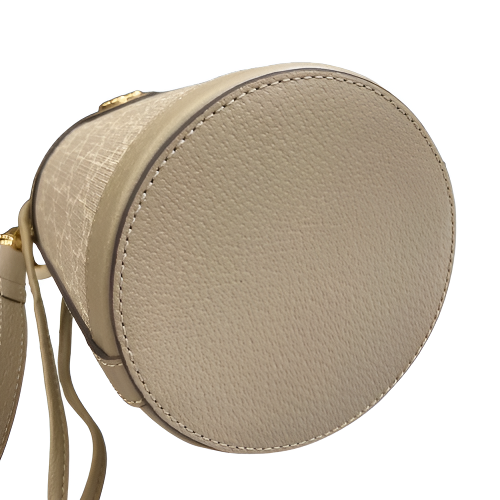 Gucci-inspired bucket bag