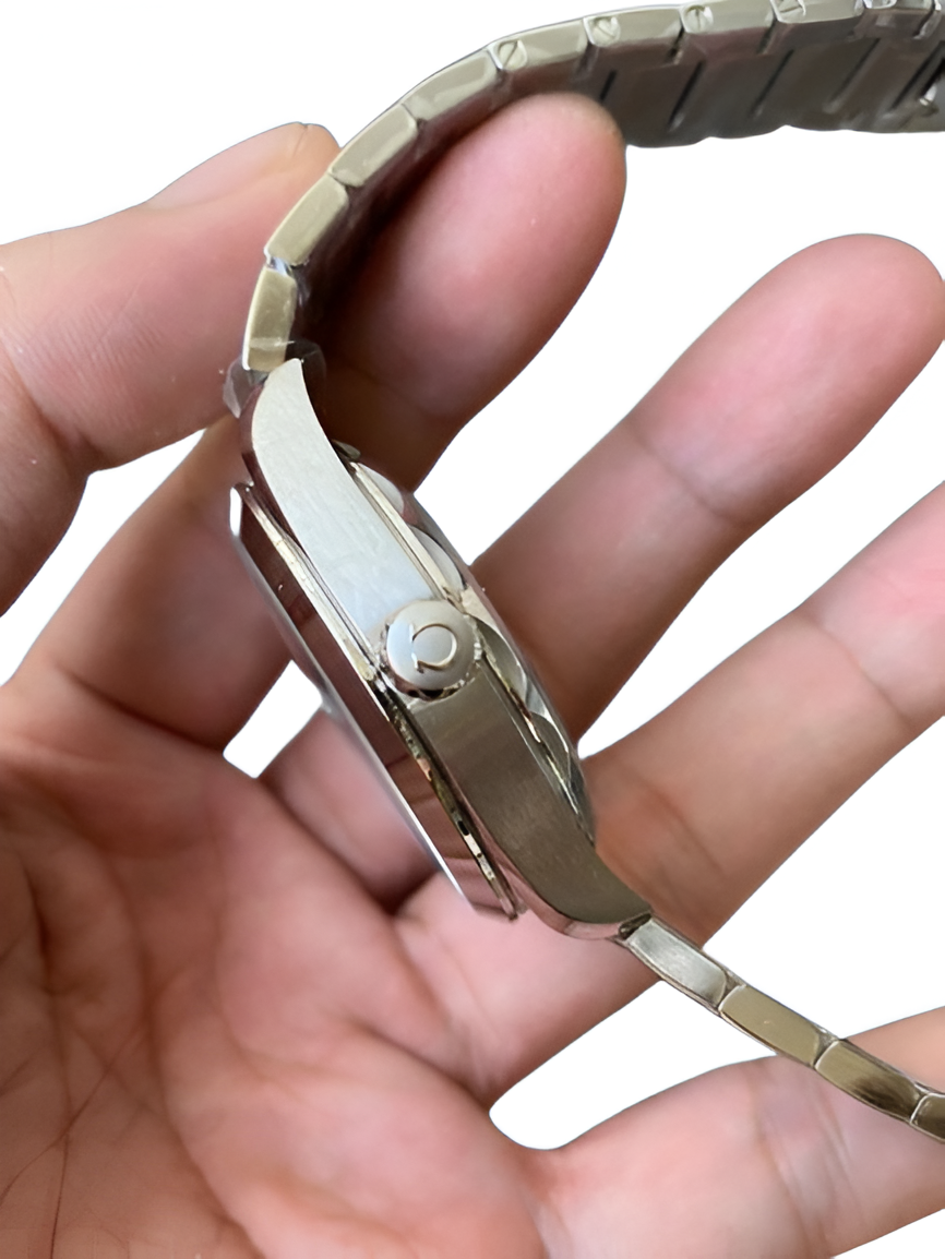 Omega Seamaster Aqua Terra Master Co-Axial Men's Watch