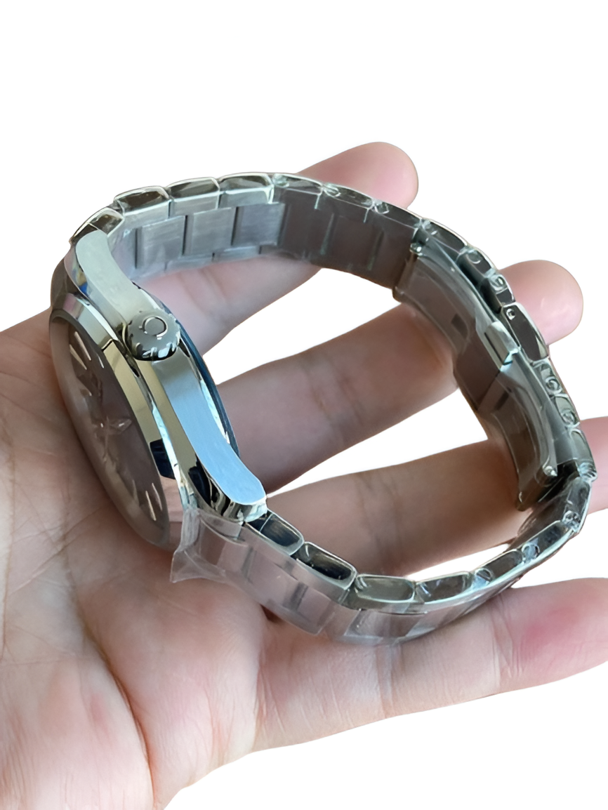 Omega Seamaster Aqua Terra Master Co-Axial Men's Watch