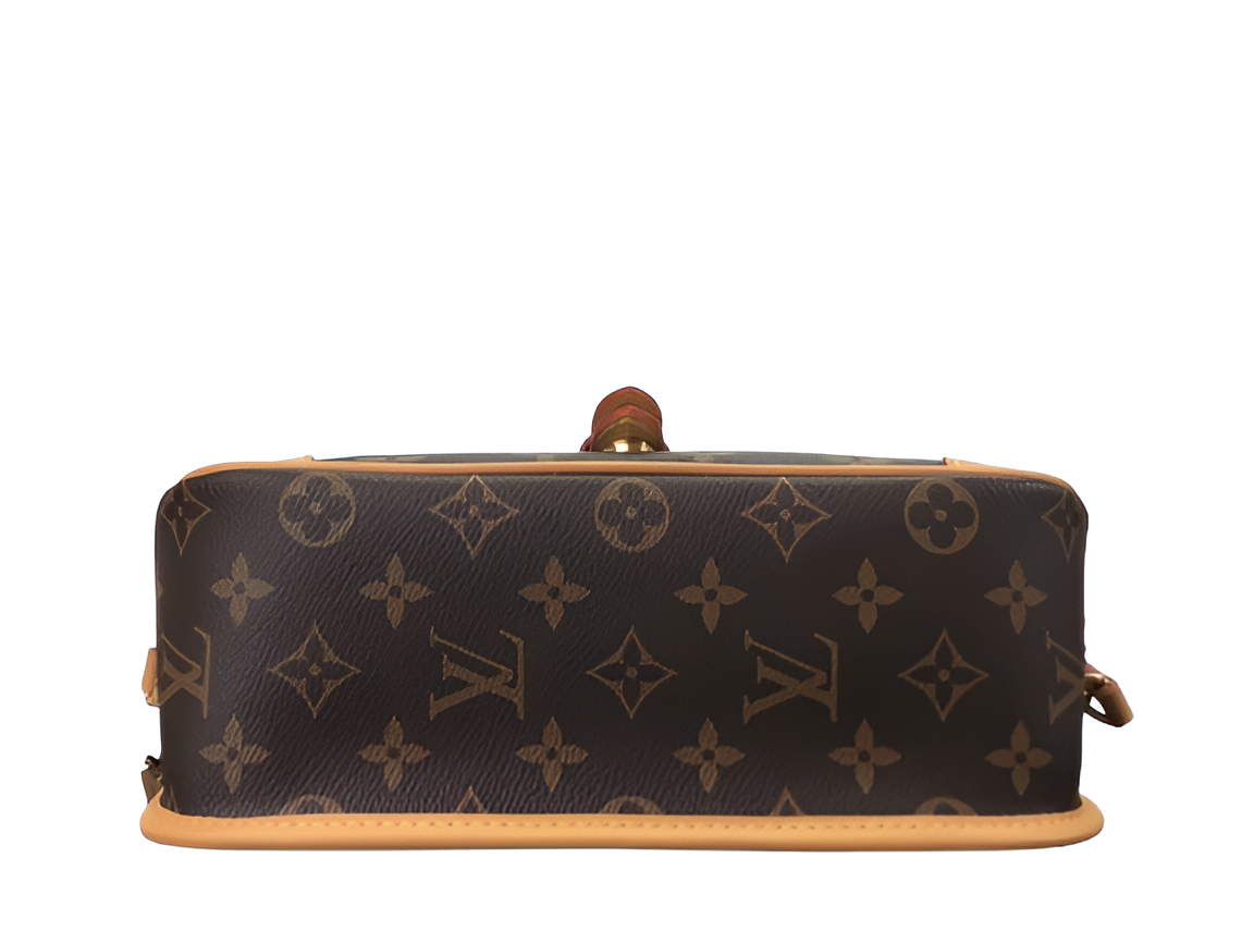 Louis Vuitton Diane Monogram crossbody bag