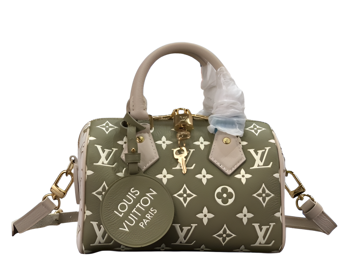 Louis Vuitton handbag