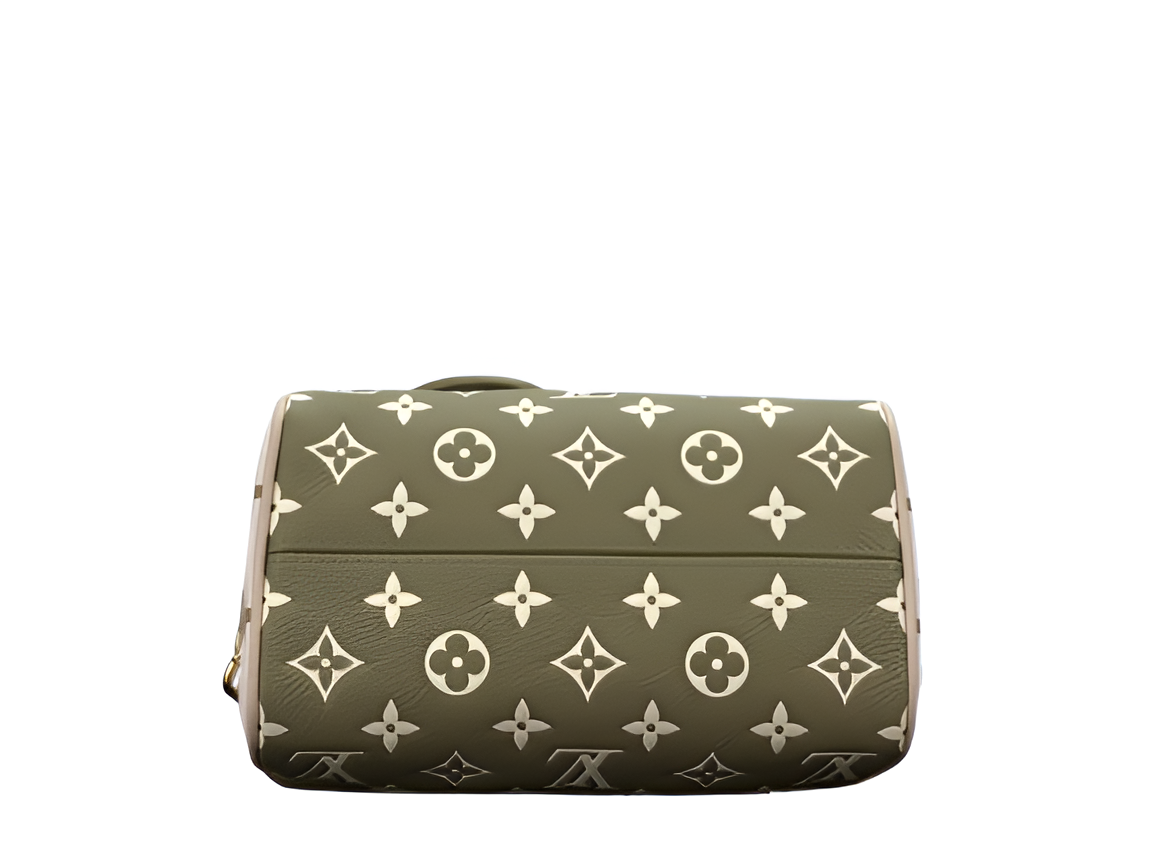 Louis Vuitton handbag