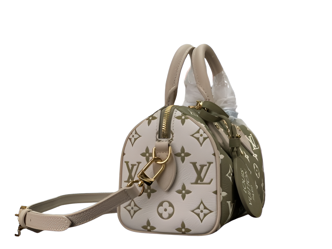 Louis Vuitton handbag