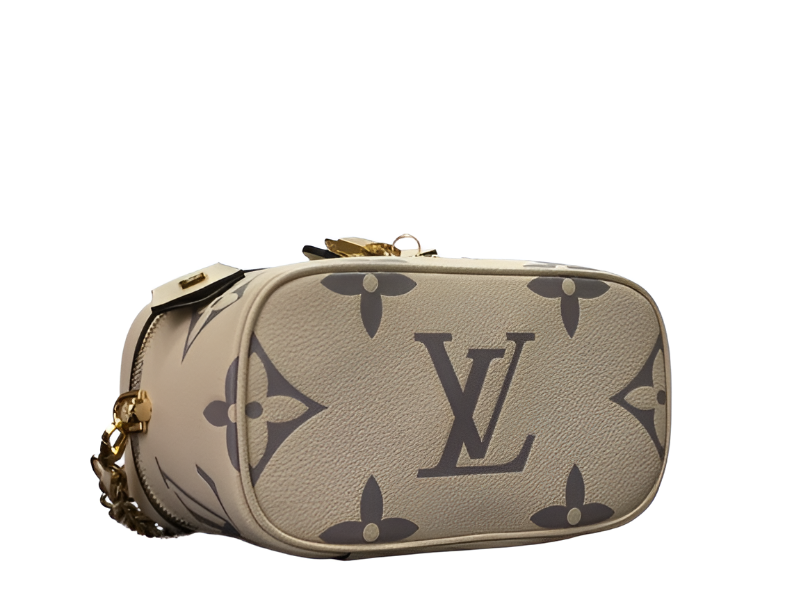 Louis Vuitton monogram vanity bag