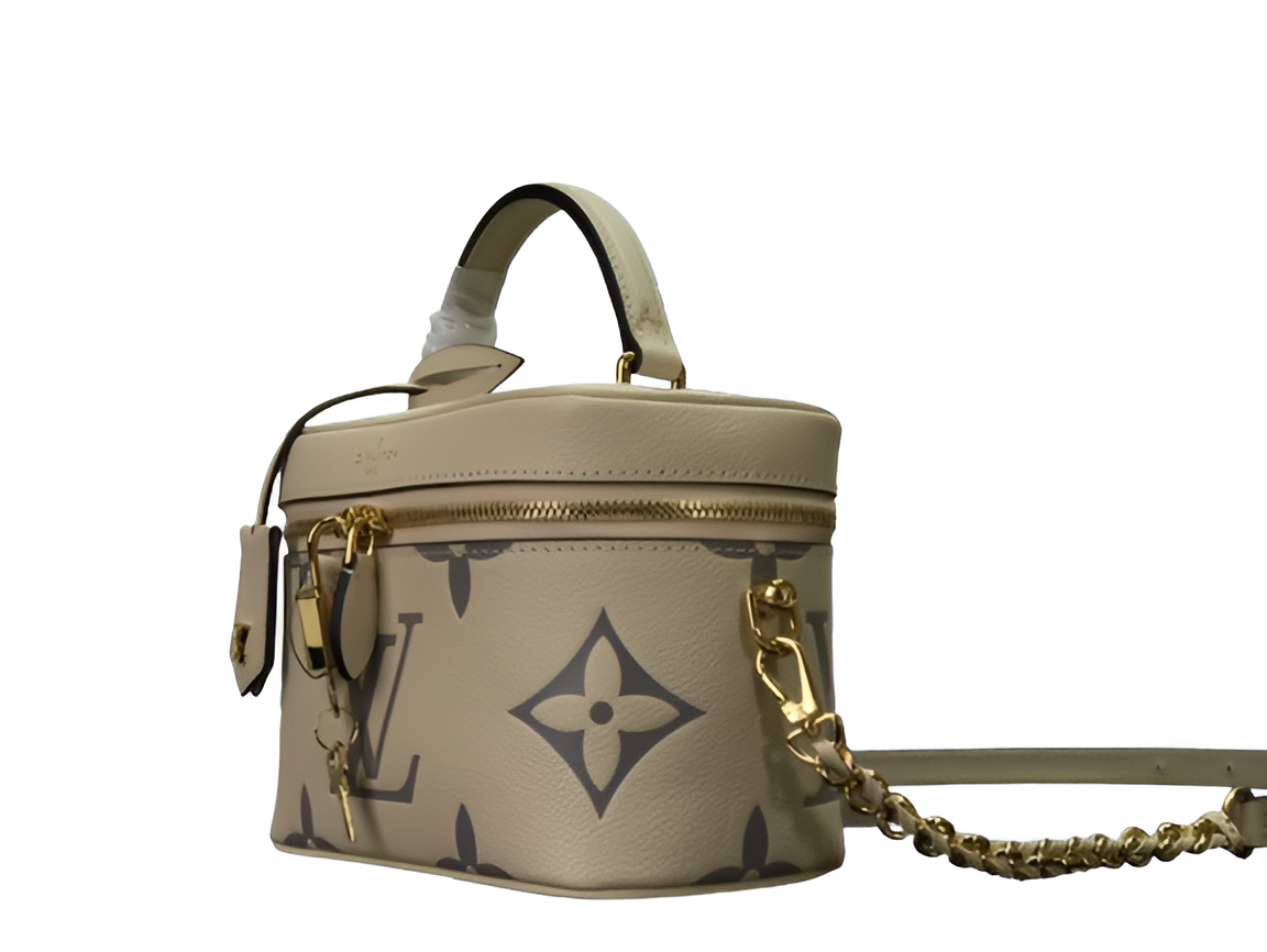 Louis Vuitton monogram vanity bag