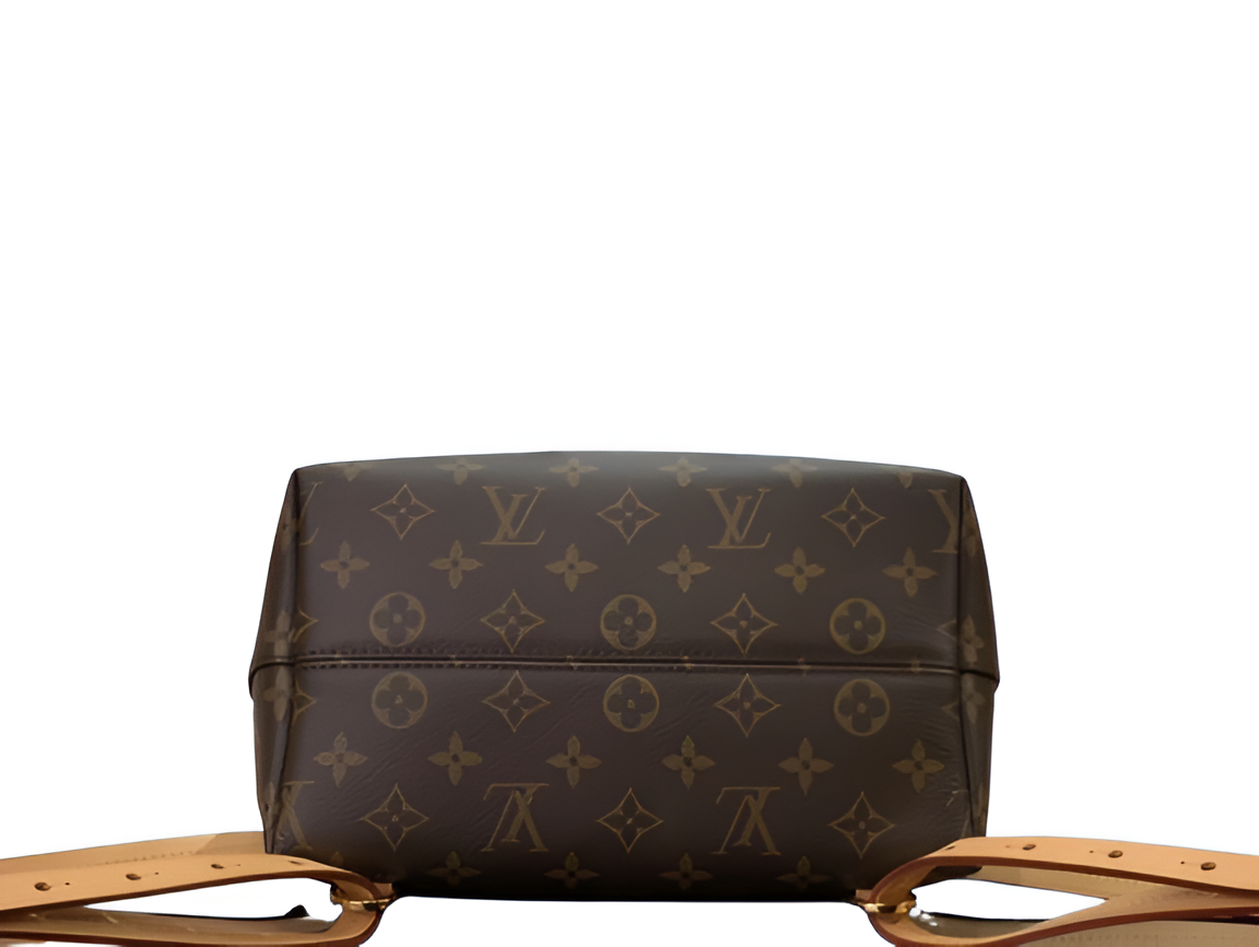Louis Vuitton monogram backpack