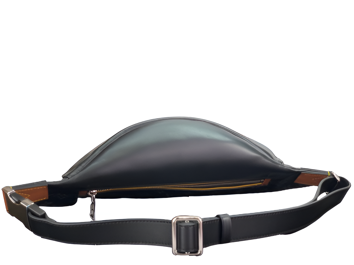Louis Vuitton monogram belt bag
