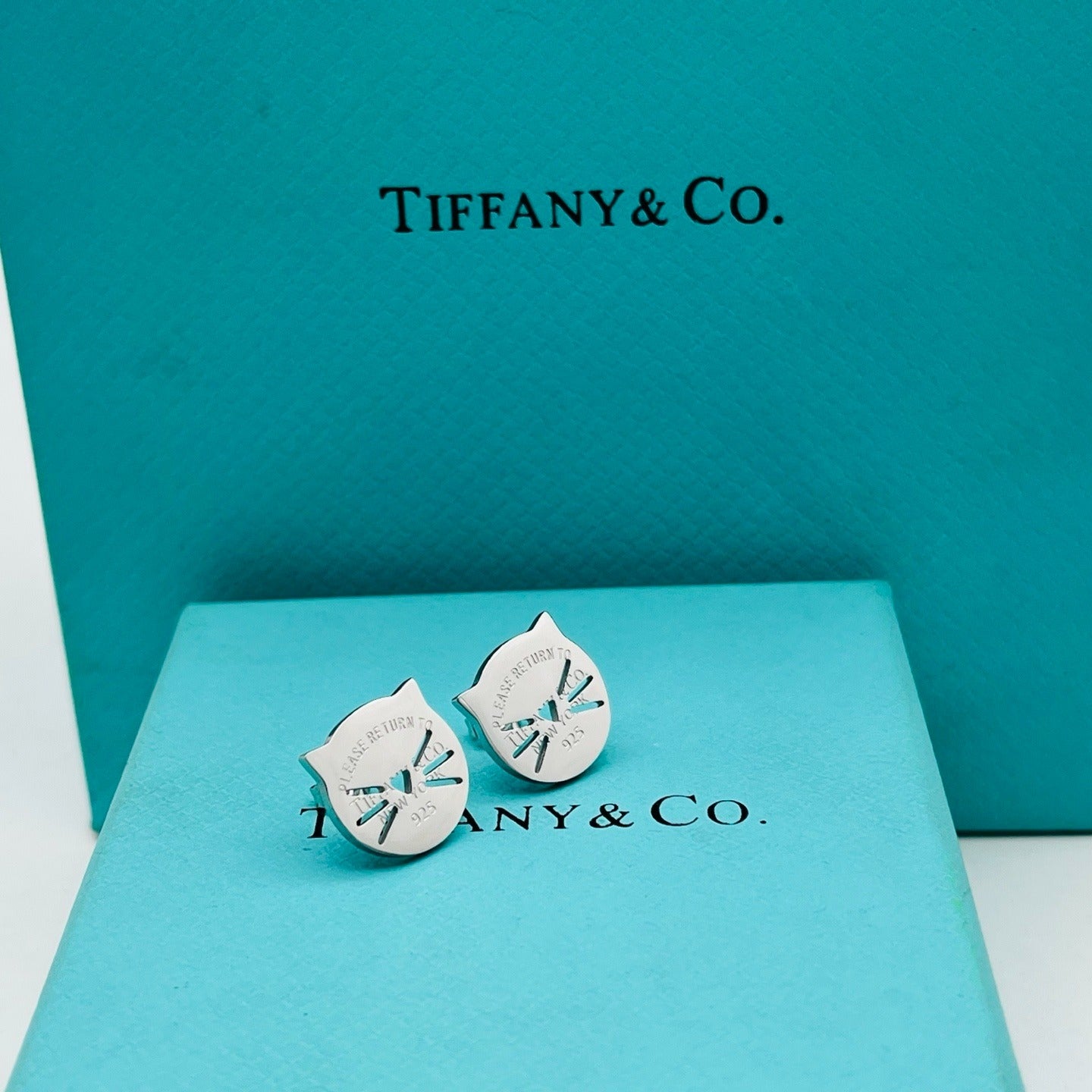 Tiffany Women Luxury Earrings