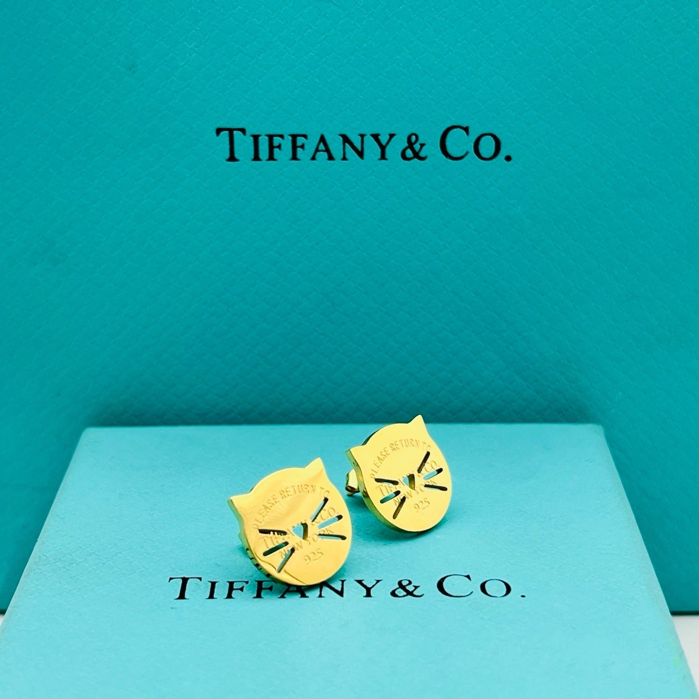 Tiffany Women Luxury Earrings